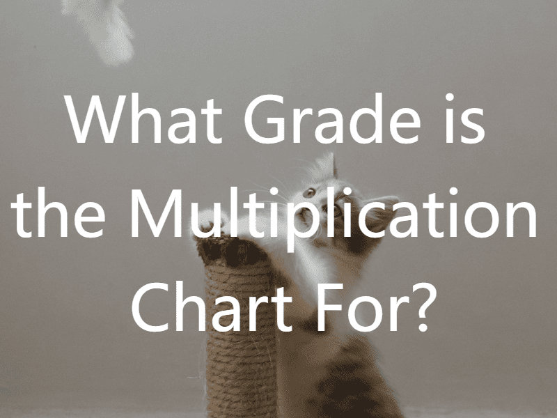 What Grade is the Multiplication Chart For?