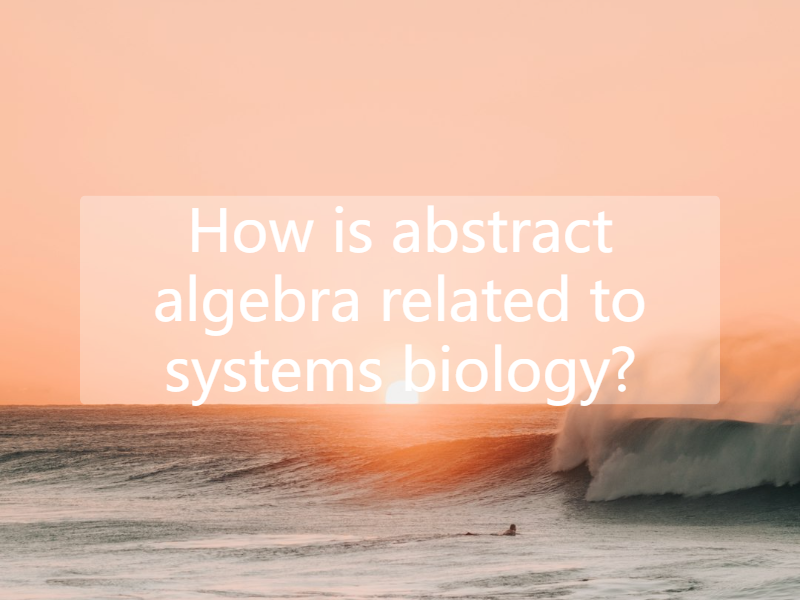 How is abstract algebra related to systems biology?