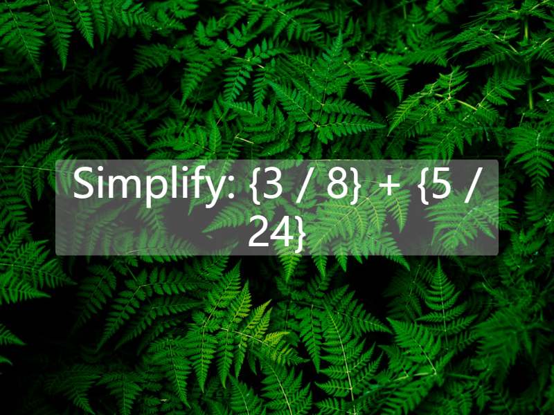 Simplify: {3 / 8} + {5 / 24}